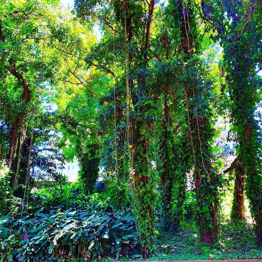 Hotel Cataguases Buitenkant foto